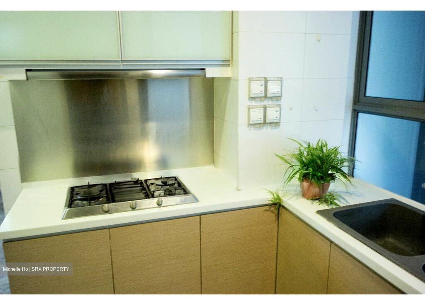 Suffolk Premier (D11), Apartment #565843791
